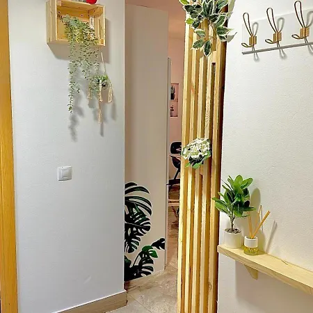 Fantasia Maritima 科拉雷侯